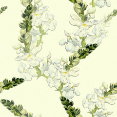 Fototapeta na wymiar Flowers. A branch with flowers and buds - snapdragon. Seamless pattern. Medicinal, perfume and cosmetic plants. Wallpaper. Use printed materials, signs, posters, postcards, packaging. Watercolor.