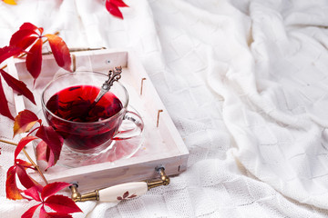 Hot healthy rose tea on wooden tray with autumn fallen leaves on knitted warm woolen blanket. Relaxing in cold weather on the bed with copy space . Seasonal beverages.