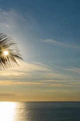 Palm leaves in tropical paradise, with blue sky, sunflare, vertical © brunok1
