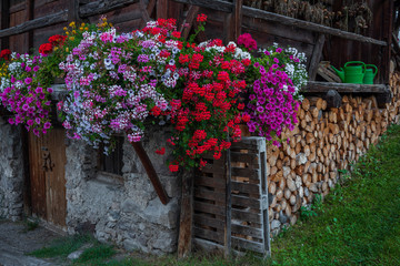 Fototapeta na wymiar barn with flowers and firewood
