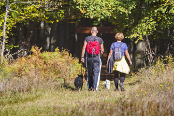 Young couple are hiking through the forest with their pet dogs