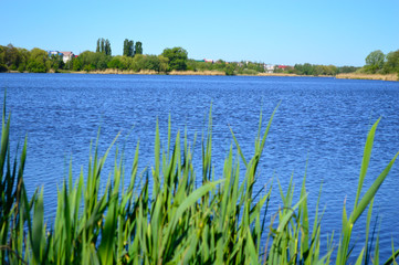 Fototapeta premium Beautiful skyline of river and forest