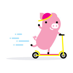Cute carton pig riding a scooter. Vector illustration