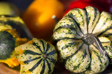 Closeup of green, white and yellow ornamental gourds with red and yellow peppers at the background