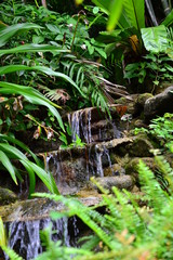 Obraz premium Waterfall in the jungle of Thailand