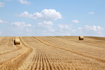Fototapeta premium Round bale of straw on a stubble field and cloudy blue sky