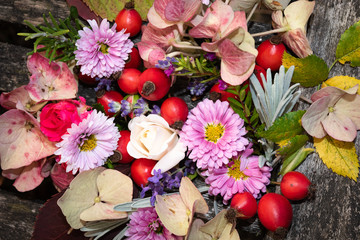 Herbstfarben im Garten 