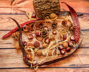 Autumn composition.Acacia fruit,chestnuts,cones, log tree and nuts on  wooden background