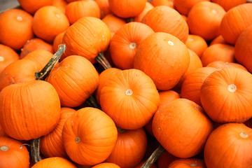 Pile of orange organic pumpkin. Natural colors and texture. Autumn background, pattern, texture. Rich Harvest. Flat lay. Top view. Thanksgiving, Halloween.	