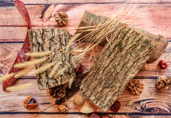Autumn composition.Cones, log trees,chestnuts, acacia fruits and dried plants on a wooden background