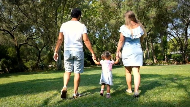 Happy parents walking with daughter in summer park, rear view. Mom and dad holding hands with little child and walking together on green grass. Family concept