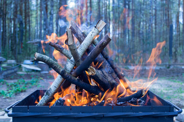 Bonfire in the nature closeup
