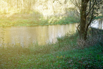 Autumn city park fall colors, four seasons