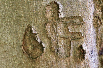 geritzter Buchstaben auf Baumstamm