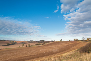 Fototapeta na wymiar Farmland In Rutland