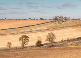 Fototapeta na wymiar Farmland In Autumn