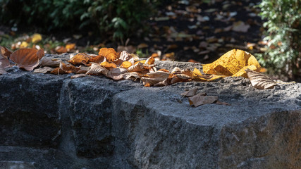 Herbstlaub Mauer