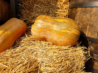 Pumpkins on the straw.