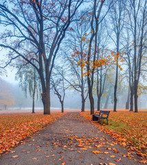 Autumnal morning in old public park, EC