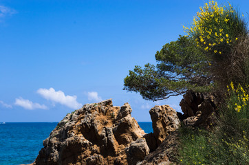 Rocky shore near the mediterranean sea