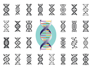 Set of DNA icons. Human genetic variation. Vector illustration.