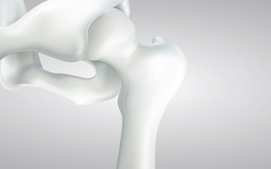 Thigh bone and human sphincter. On a white background - 3D rendering can be word or word paste.