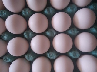 Graphic resources, texture, egg, food, eggs, brown, chicken, white