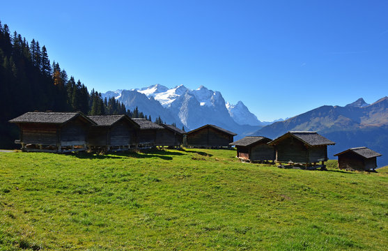 Fototapeta Aussicht von Hasliberg auf Wetterhorn, Berner Oberland, Schweiz
