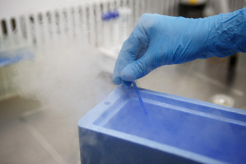 The process of artificial insemination in IVF clinic. Hands doctor in blue rubber gloves produce...