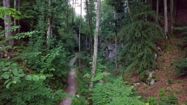 Woosh video effekt downwards into forest