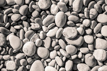 Geformt von Wind und Wetter