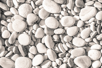 Geformt von Wind und Wetter