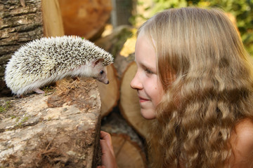 little girl with her pet African pygmy hedgehog © maximilian_100