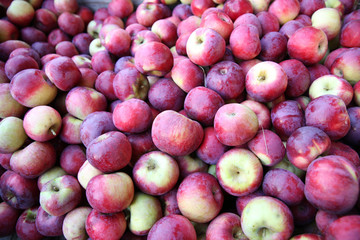 Big pile of ripe red apples in the market