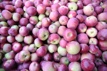 apples in market