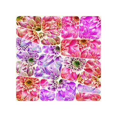 Digital design created with dahlia flowers