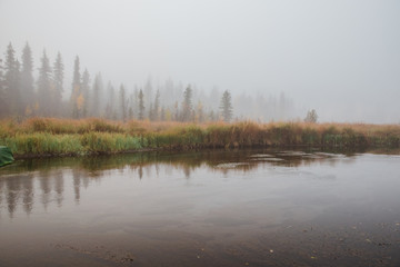 foggy autumn morning at the river