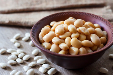 Boiled white kidney beans in a rustic bowl
