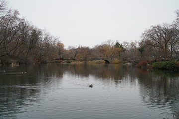 New York Central Park