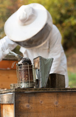 Imker beim kontrollieren der Bienen im Herbst