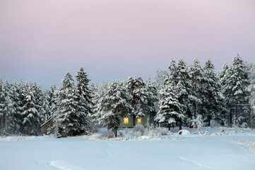 Small house in the middle of spruce forest