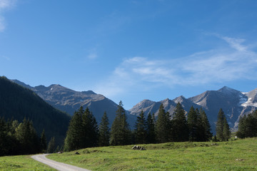 Fototapeta na wymiar DIe Gipfel der Alpen