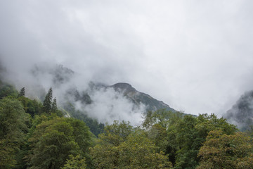 Nebel über dem Tal in den Alpen