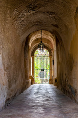 entrance with gate, at the end of a gallery, in an old house of an Italian village. Light through the tunnel. Garden with plants beyond the gate.
