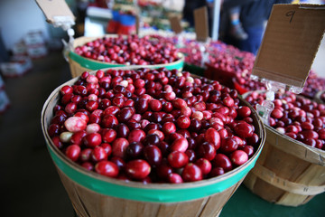 cranberries in baskets on the market