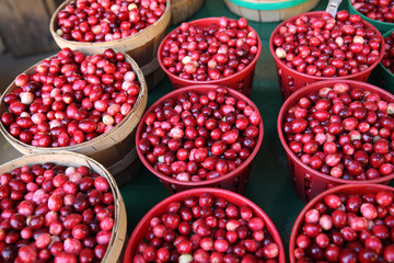 cranberries in baskets