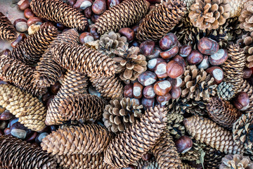 Tannanzapfen und kastanien