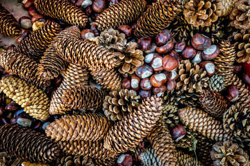 Tannanzapfen und kastanien