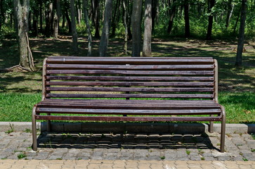 Wooden bench on main alley in the forest at natural old North park, Sofia, Bulgaria 