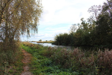Flusslandschaft in Holland